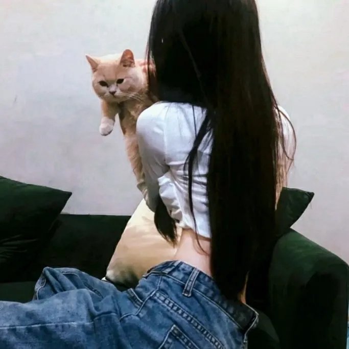 我的空姐女友